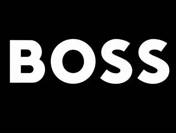 boss直聘 logo图片