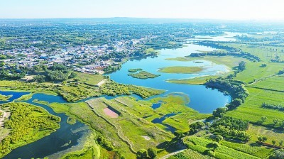 沙丘变绿洲中的女性力量——陕西榆林沙漠治理中的女性参与