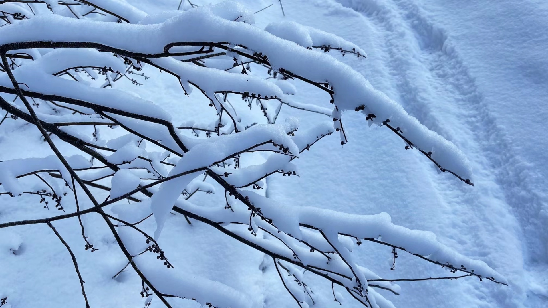 组图|建始:阳春白雪好风光