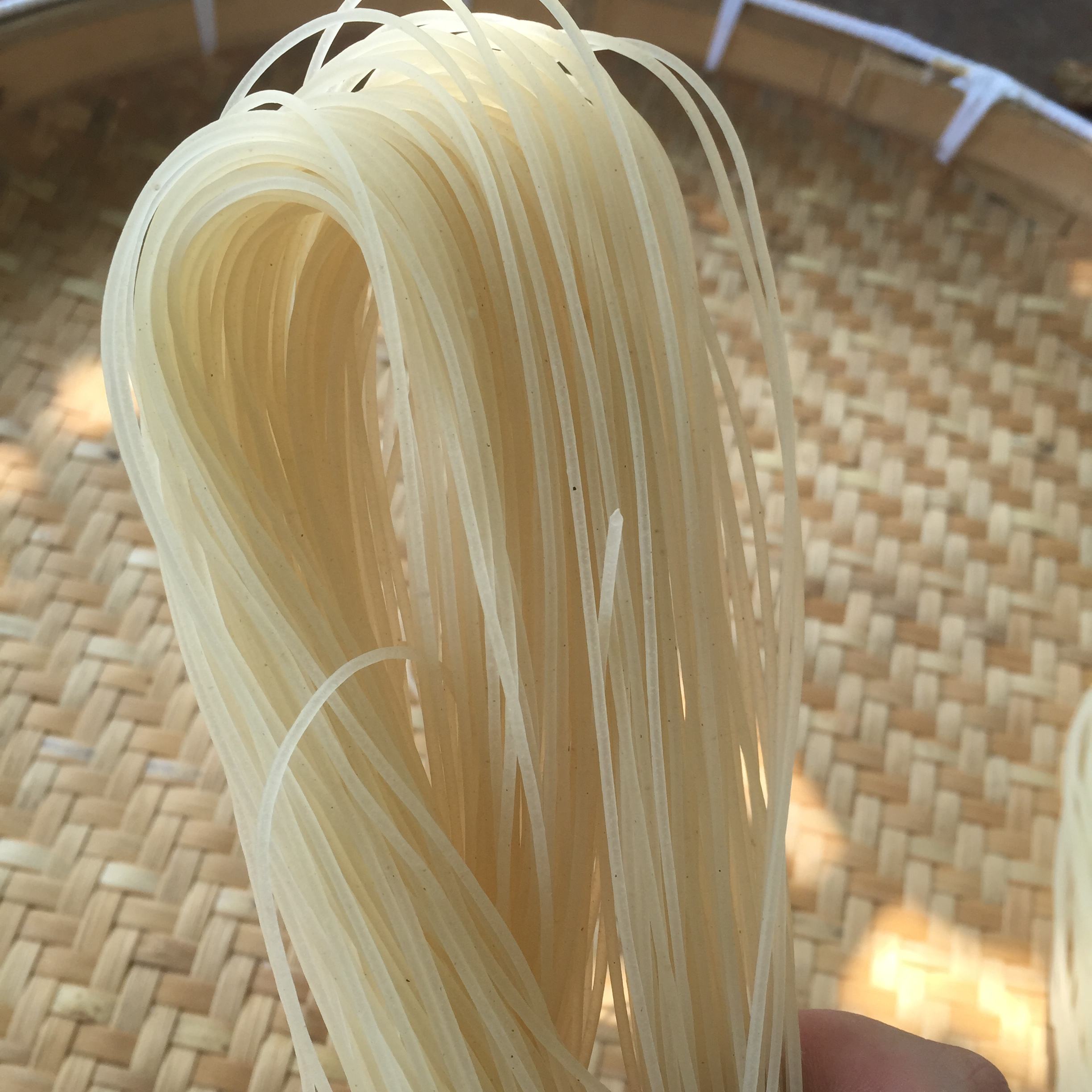 zd-45g螺蛳粉热风烘干机 提升粉干烘干效率