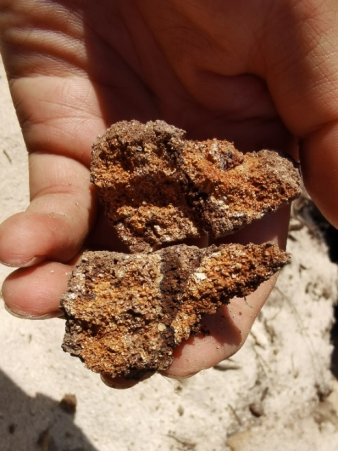 群岛的登岛顺序:鸭公岛>银屿>甘泉岛>羚羊礁>晋卿岛鸟粪磷矿特写照