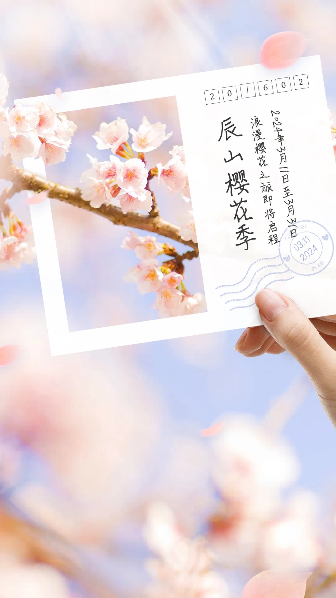 限定樱花邮戳,樱花帐篷体验……辰山植物园最美樱花季来啦!