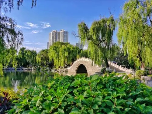 10首夏天视觉诗词美得赏心悦目;夏天的美,美在满目的风景