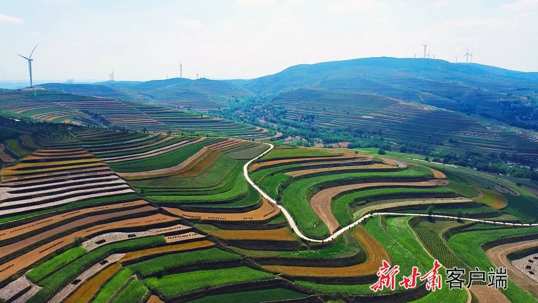 通渭县:层层梯田美如画