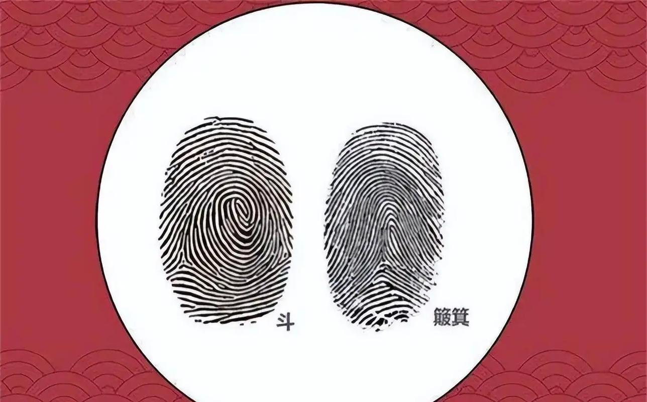手指上的命运纹路:斗与簸箕的奥秘