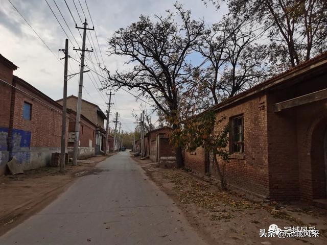 冠县乡韵·柳林镇大界牌村