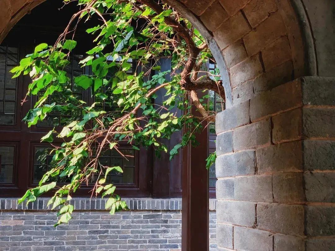 中国乡愁丨石家庄正定:王士珍故居