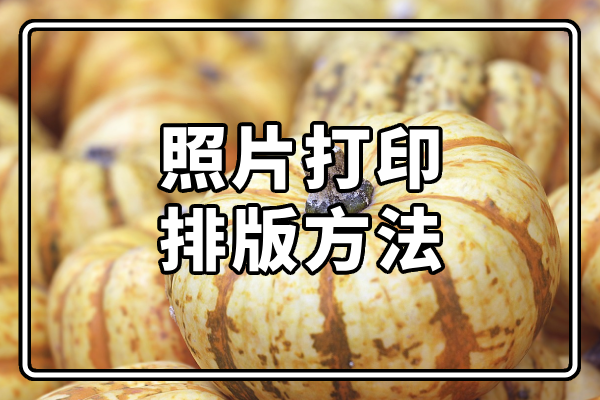 「分享」照片打印排版方法