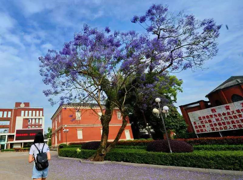 沁园春●罗源一中荣誉墙题壁