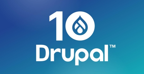 包含drupal网站建设的词条