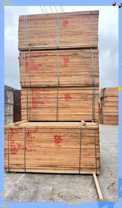 红斑马木材的崛起与市场新变化