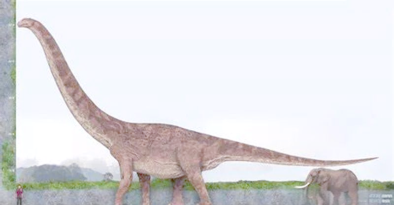 阿根廷龙:地球上曾经生活过的巨大陆地动物