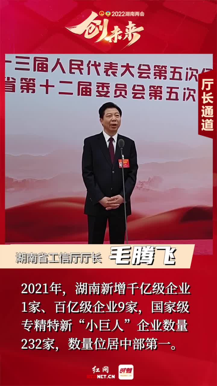 直击厅长通道丨毛腾飞湖南四个产业集群进入国家队数量居中部第一