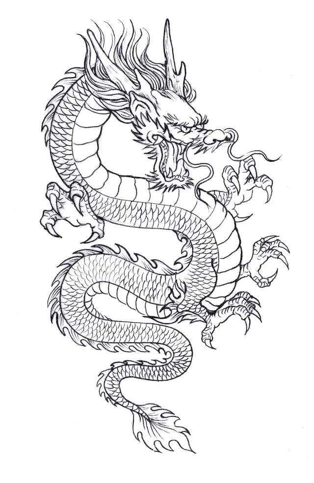 探索龙的绘画技巧:从基础到精通