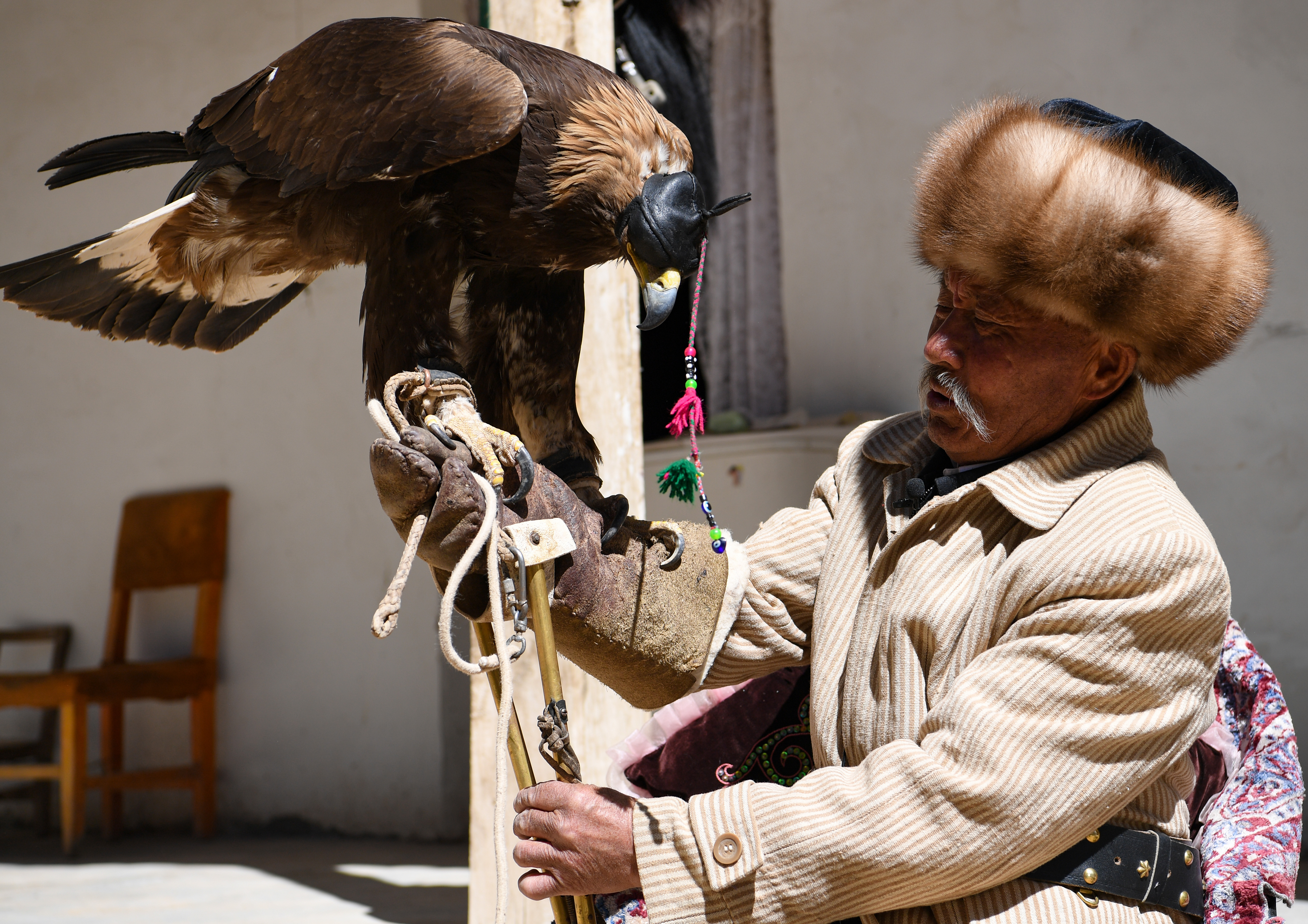 远山的"鹰语者"