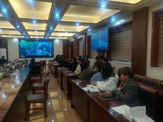 镇平县委理论学习中心组集中观看电影《大转折上集鏖战鲁西南》
