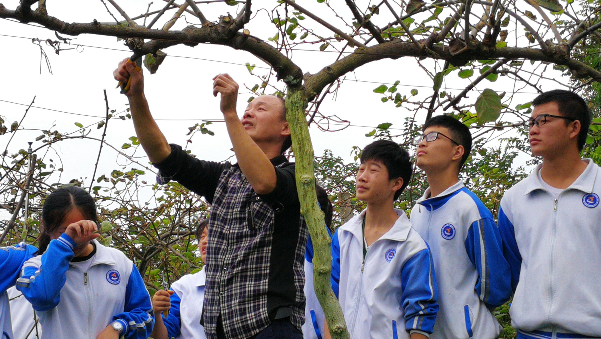 蒼溪職中閆書貴:在土地中感悟