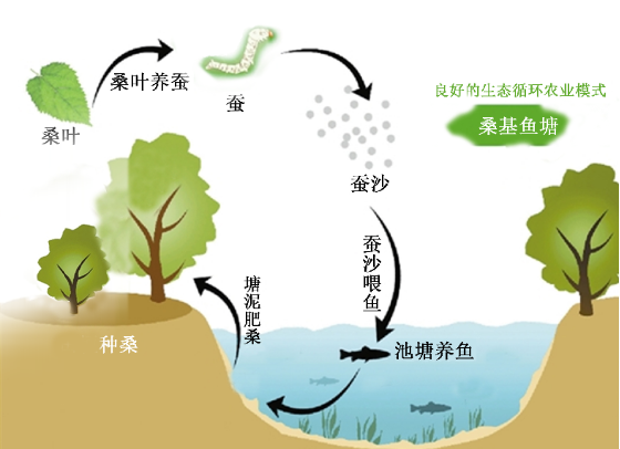 千亿像素看中国—桑基鱼塘