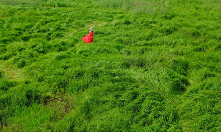 南京石臼湖变身草海
