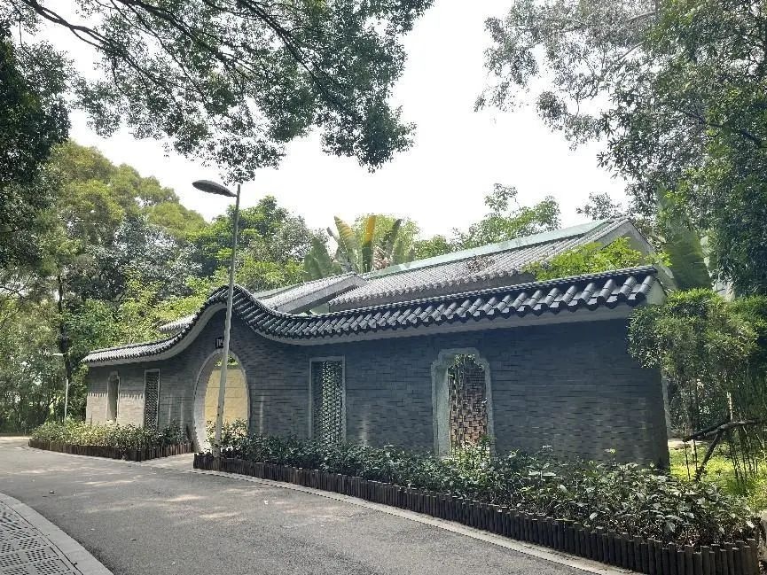 读懂番禺|东环街城北公园:公园改造焕新颜,居民生活更幸福