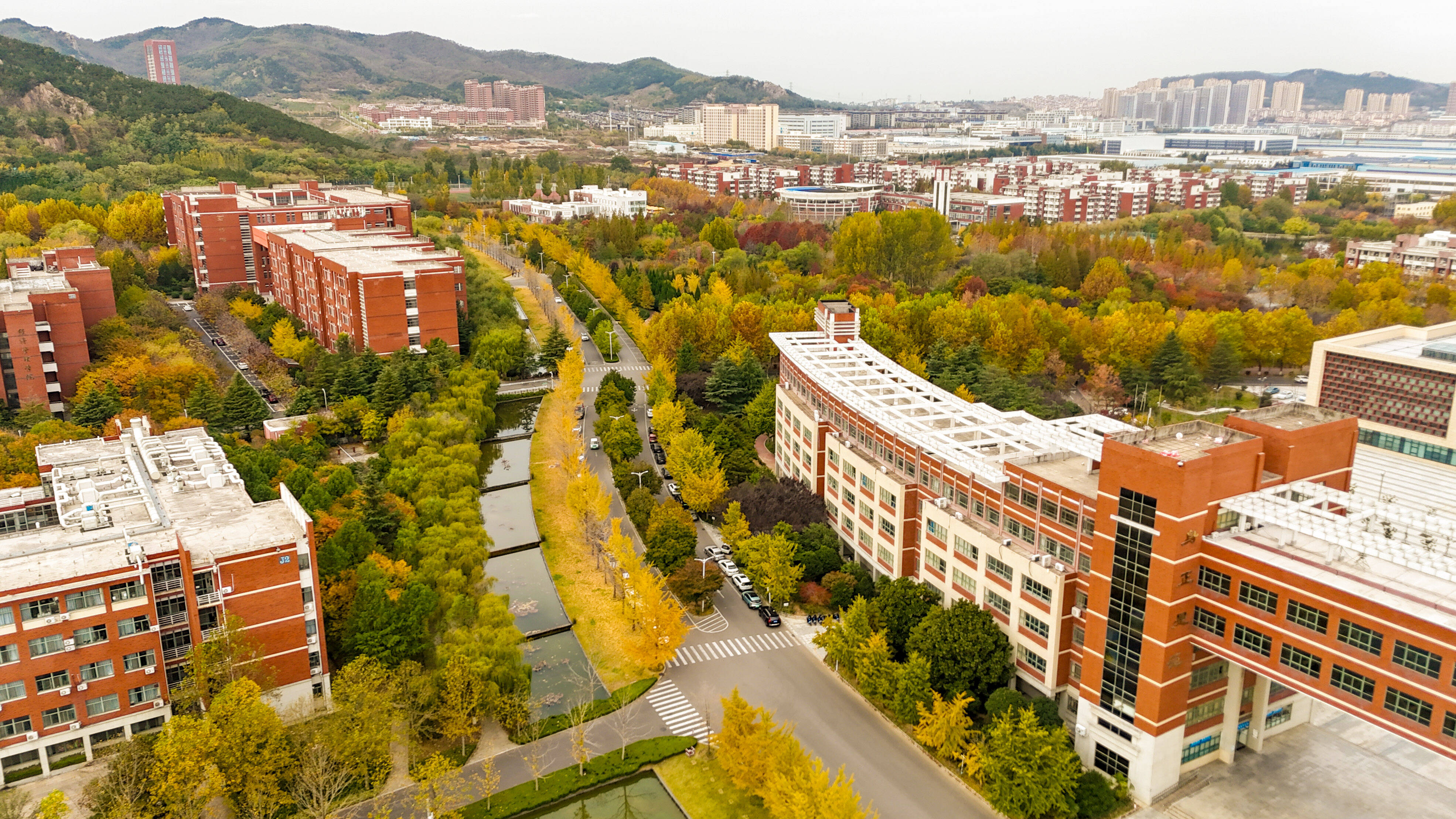 青岛科技大学校园风光图片