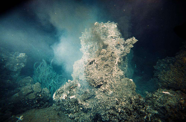 海底的地形和地球表面一样千变万化:4000米深的深海平原像沙漠一样