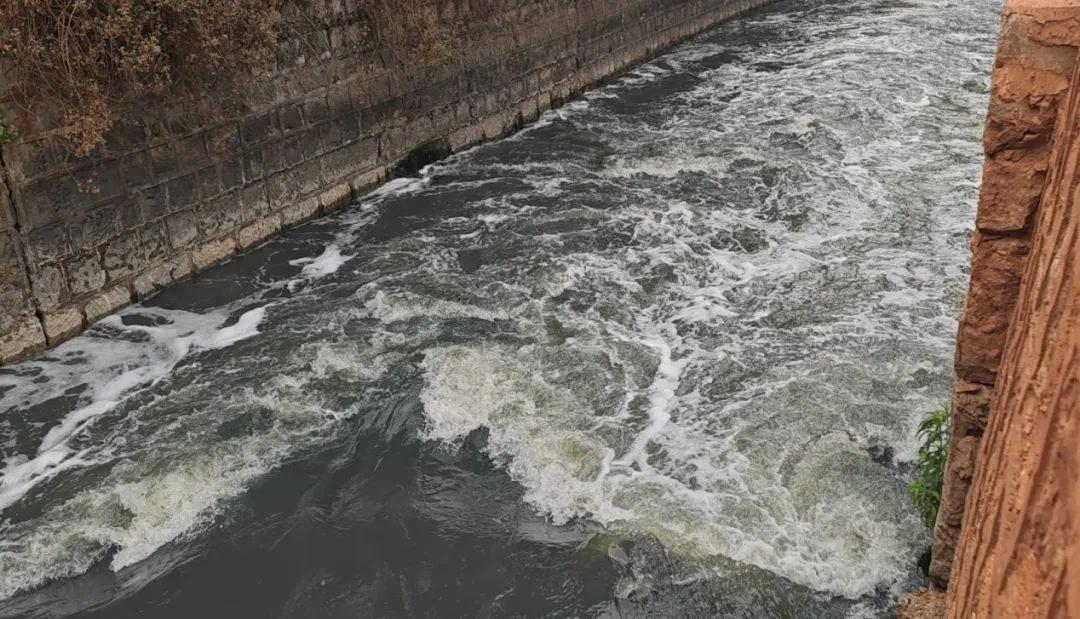 "研究"六年不见成效,黑臭水体整治不力,云南污水难治根源在哪?