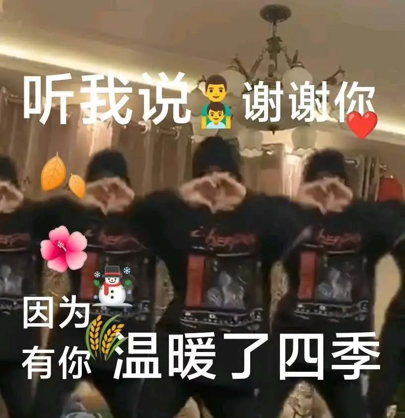 听我说谢谢你因为有你表情包