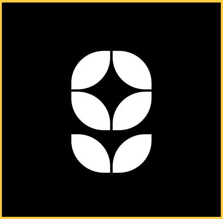 经典黑白logo的对称设计为何如此迷人