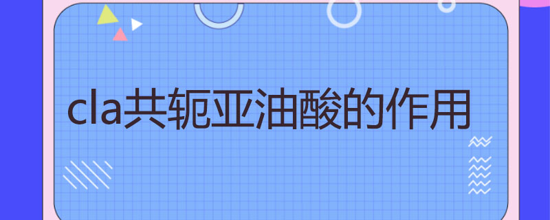 cla共轭亚油酸的作用