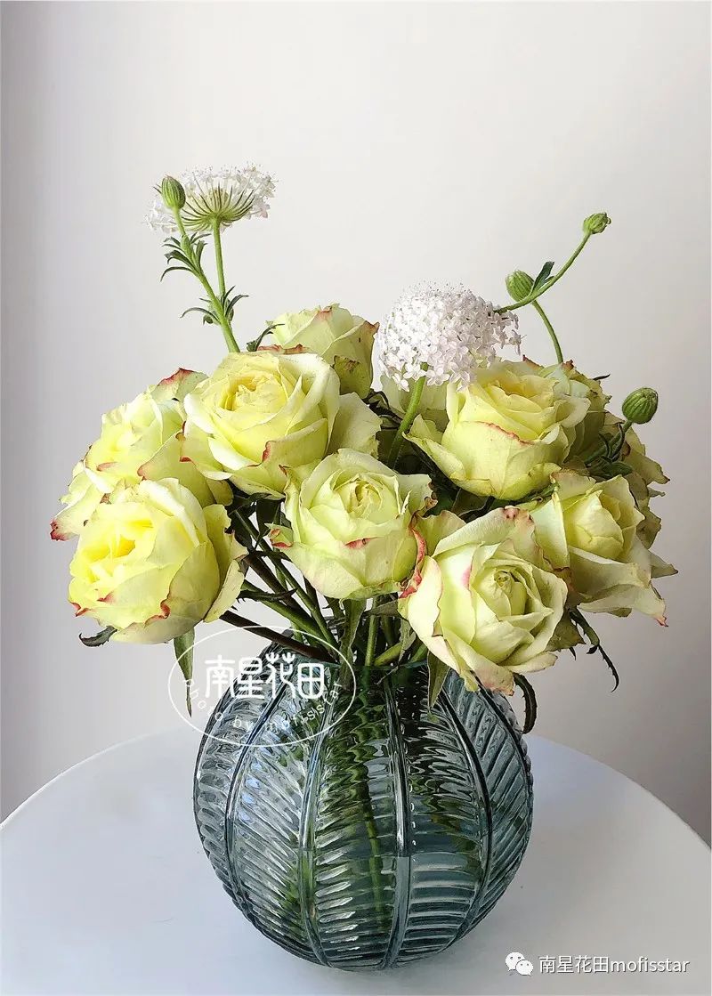 绿韵玫瑰 · 别致红配绿