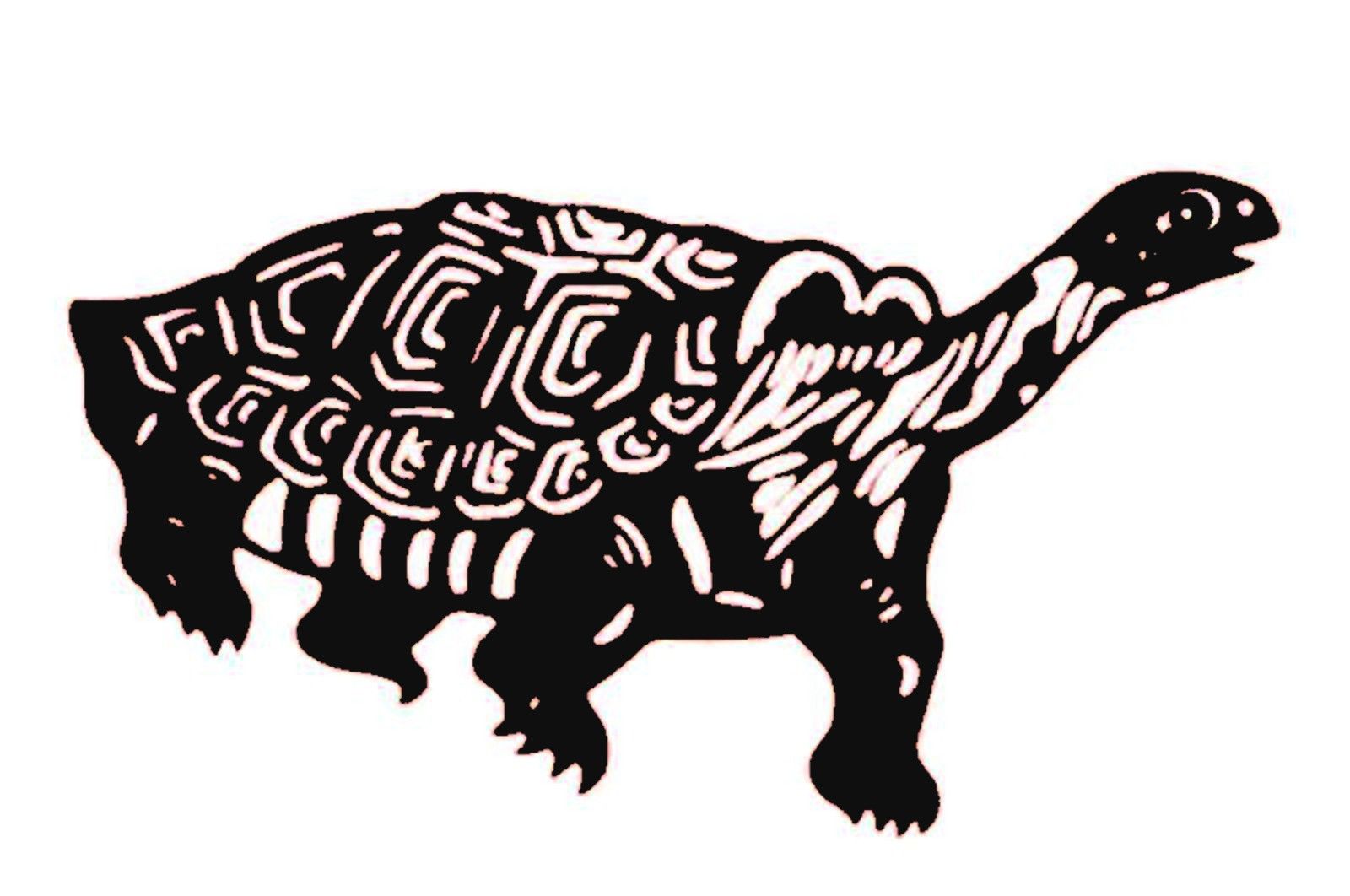 陈耀剪纸作品《一组可爱的小乌龟》