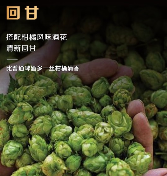 modelo啤酒:历史与口感的完美结合