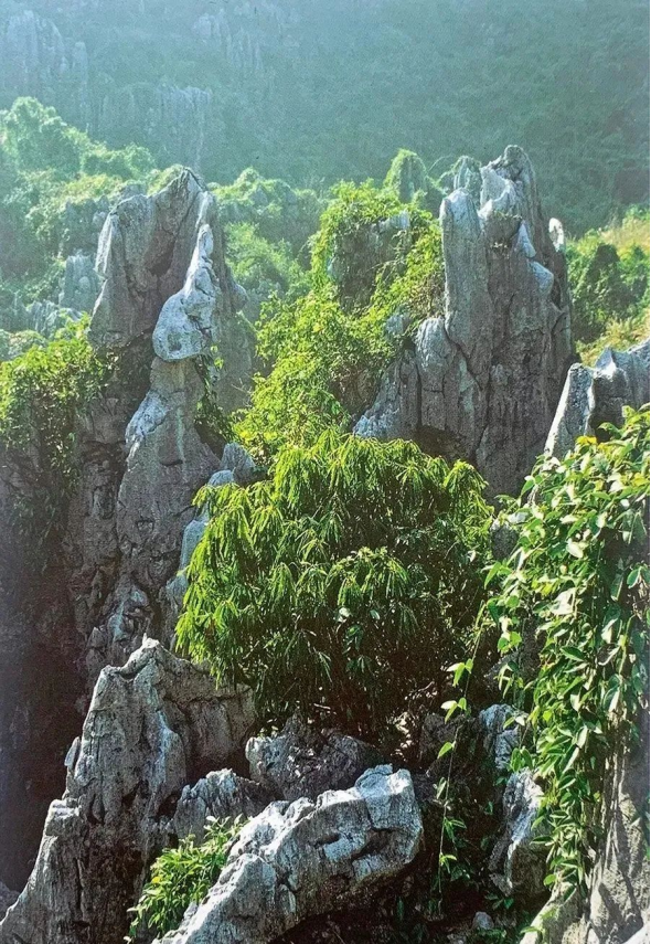 看"浙"景区发展 三衢山4a到5a的华丽蜕变值得探索