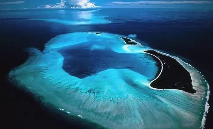 马尾藻海:世界之巅的海洋神秘之地