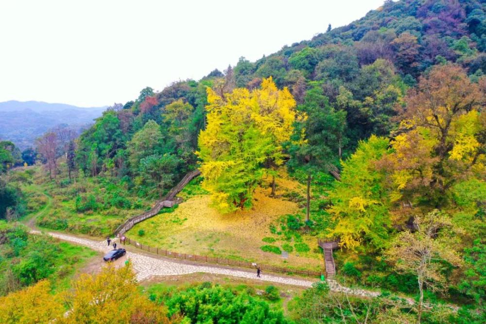 长顺县简介图片