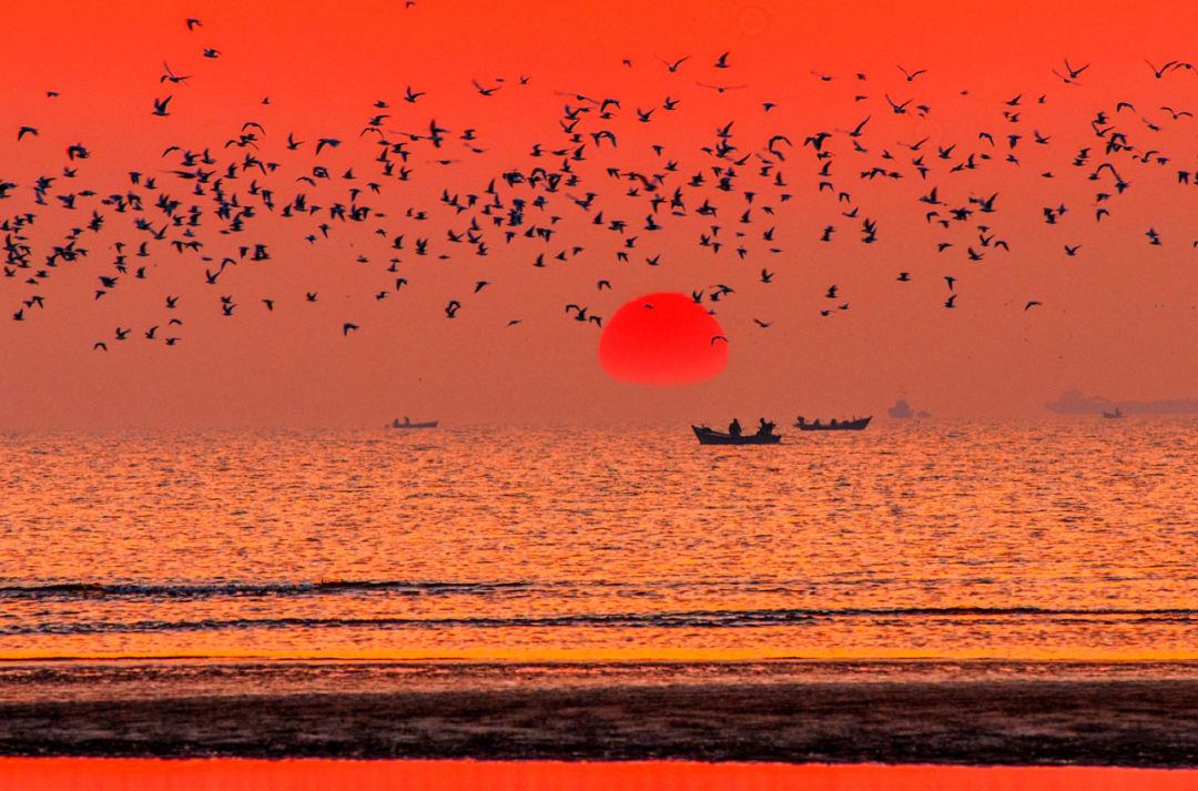 下一站,到秦皇岛看「橘子海」