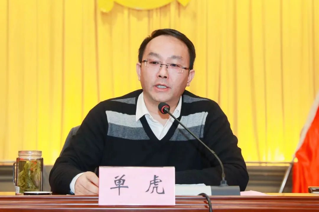 大力弘扬雷锋精神 持续深化精神文明建设 共建首善幸福新庐阳