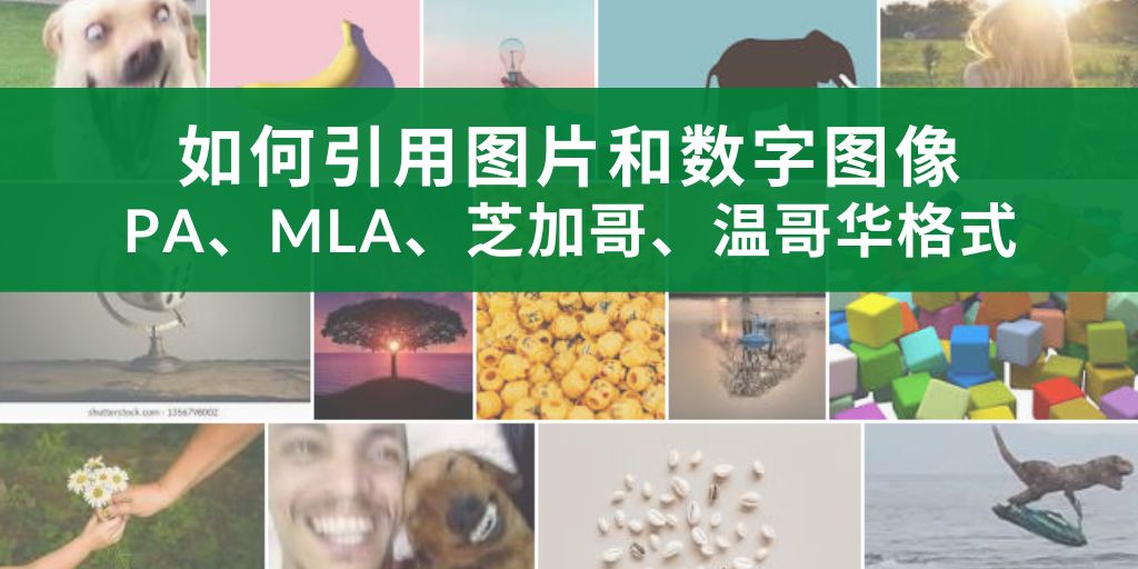 如何引用圖片和數字圖像:apa,mla,芝加哥,溫哥華格式