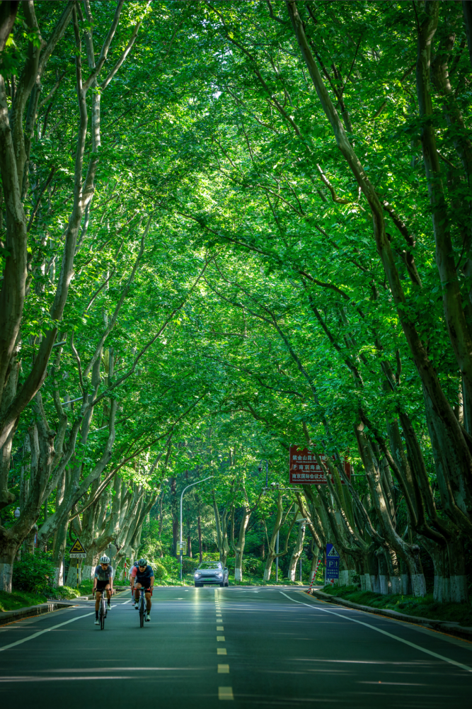 夏日在南京的街头巷尾,来一场去班味的citywalk