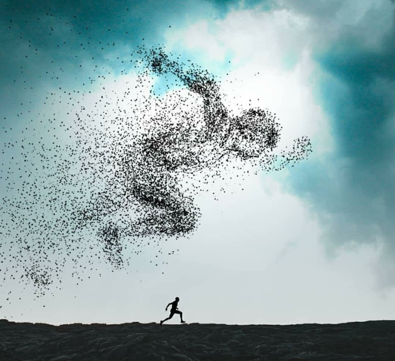 勇敢面对挑战,成就非凡人生