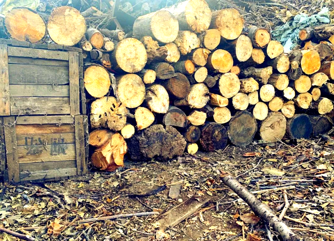 柴火垛整齐堆放,让乡村景观更美