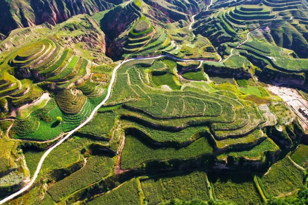 杨家沟村:红色领航再迎"曙光"