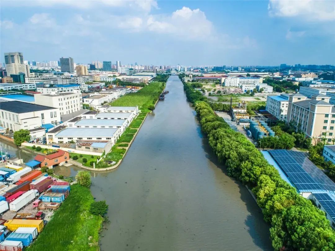 松江:淀浦河(松江段)蜿蜒流淌,一起去赏秋观水吧