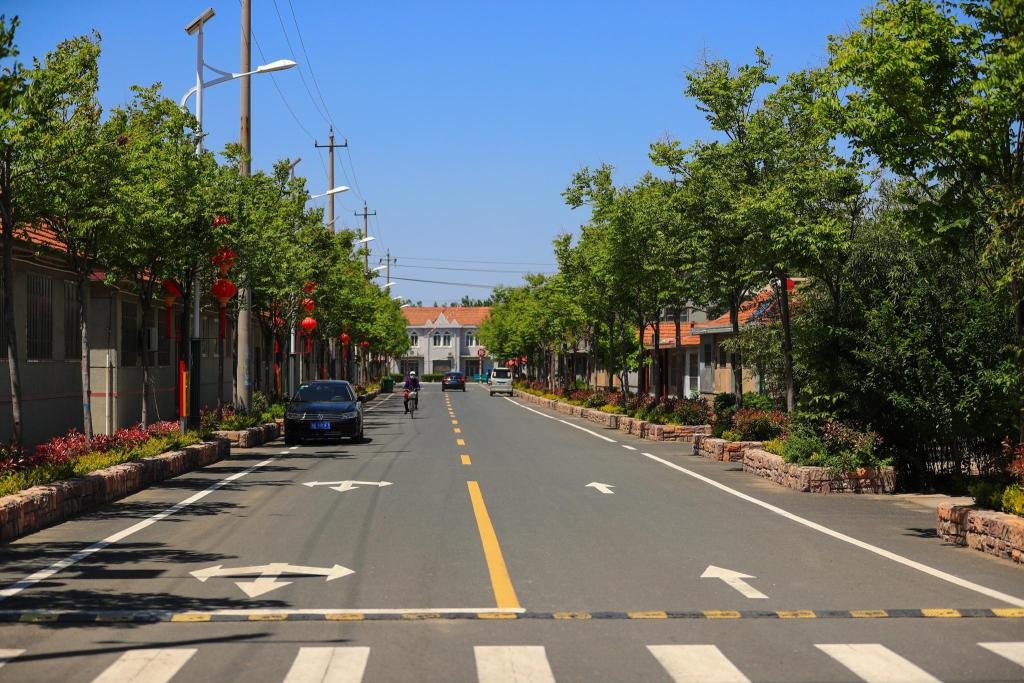 即墨龙山街道:巩固创城成效,擦亮文明底色