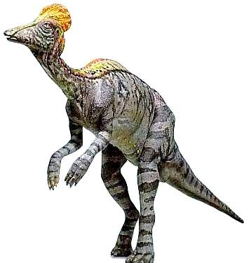 盔龙:从外观到习性全面解读的恐龙