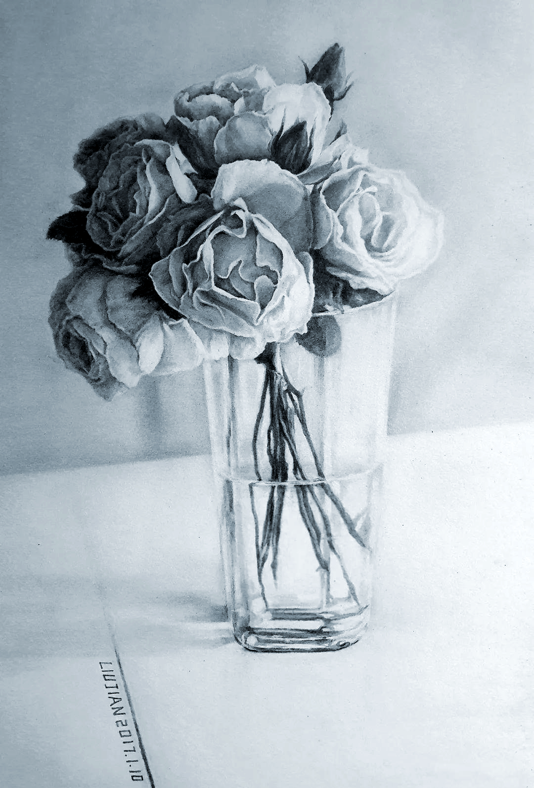 「月季花-39cm×27cm」铅笔素描▽作品欣赏13「向日葵-39cm×27cm」