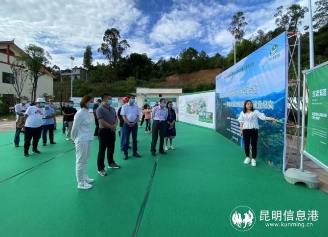 守护生物多样性之美 楚姚高速公路路域建设纪实