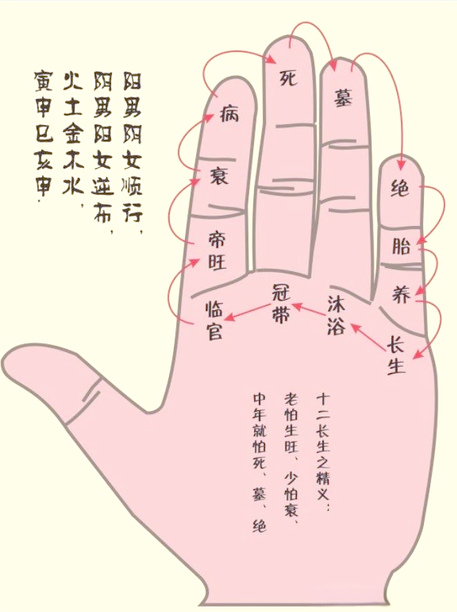 十二长生诀的详细解释与应用