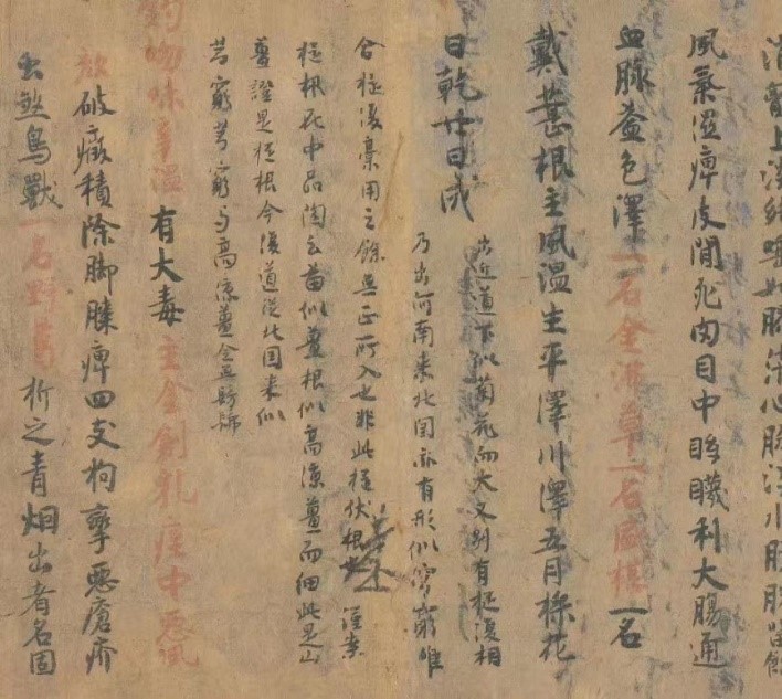 中医药物学经典《本草经集注